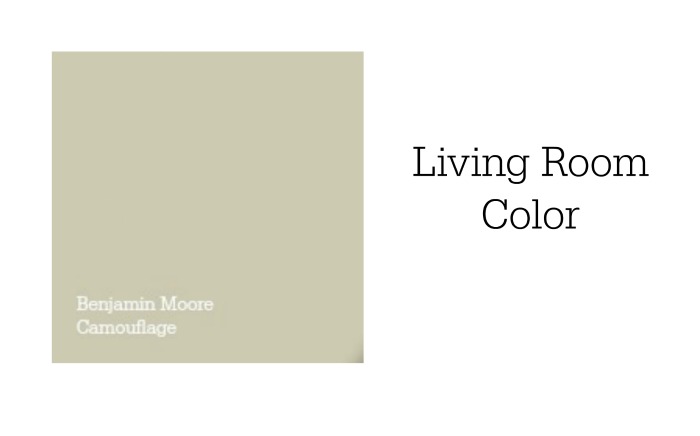livingroomcolor